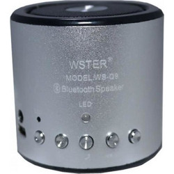 Wster WS-Q9 Ηχείο Bluetooth 3W με Ραδιόφωνο Ασημί