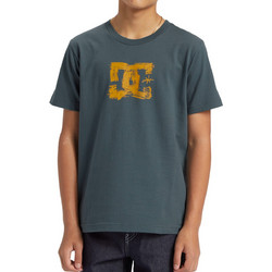 DC Παιδικό T-Shirt Κοντομάνικο Ανθρακί ADBZT03252-BZJ0