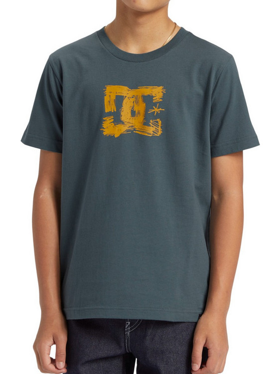 DC Παιδικό T-Shirt Κοντομάνικο Ανθρακί ADBZT03252-BZJ0
