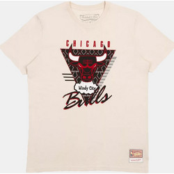 Mitchell & Ness NBA Chicago Bulls Final Seconds BMTRINTL1057-CBUSAND