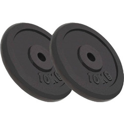 vidaXL Σετ Δίσκοι Μεταλλικοί 2x10kg Φ30mm