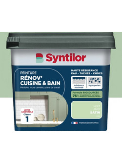 Syntilor Renov'Cuisine &Bain Χρώμα Πλακιδίων Γαλάζιο Πράσινο 0.75lt