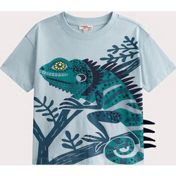 Dpam Παιδικό T-Shirt Κοντομάνικο Γαλάζιο Πετρόλ 25S902R3TMC