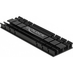 DeLOCK 18285 Ψύξη M.2 SSD 70mm Flat