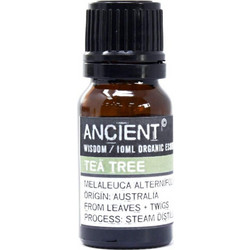 Ancient Wisdom Βιολογικό Αιθέριο Έλαιο Τεϊόδεντρο 10ml