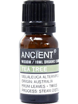 Ancient Wisdom Βιολογικό Αιθέριο Έλαιο Τεϊόδεντρο 10ml