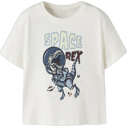 Name It Dino Rex Παιδικό T-Shirt Κοντομάνικο Μπεζ 13241567