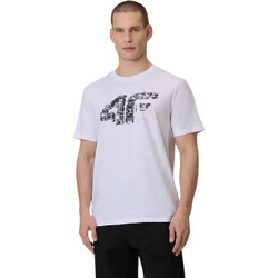 4F Ανδρικό Αθλητικό T-Shirt Λευκό 4FWSS26TTSHM2659-10S