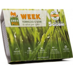 Erbapiu Kit Σπόροι για Γρασίδι Γάτας 40gr