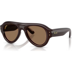 Ray-Ban RB4925 689673 Ανδρικά Γυαλιά Ηλίου Aviator Κοκάλινα Μπορντό με Καφέ Φακό