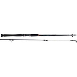 Penn Mariner II 561H Καλάμι Ψαρέματος για Jigging 1.67m 200gr