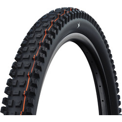 Schwalbe Albert Radial Evolution Trail Pro TLR Soft 29" x 2.50mm Διπλωτό