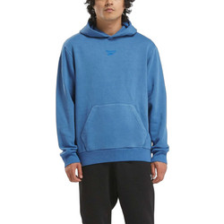 Reebok RI Washed Oth Ανδρικό Αθλητικό Φούτερ με Κουκούλα Μπλε 100205482