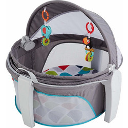 Fisher-Price Πάρκο με Στρώμα & Δίχτυ Γκρι FWX16