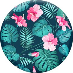 Hibiscus Green / Pink