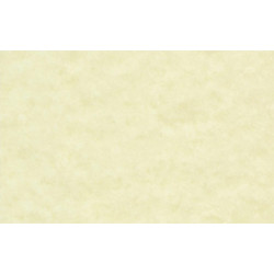 Χαρτί Α4 πάπυρος 90gr 1φ natural