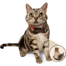 Collar Micro ID (τσιπ για κολάρο γάτας)