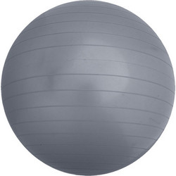 WELFIT ΜΠΑΛΑ ΑΣΚΗΣΕΩΝ 65cm W2601-65
