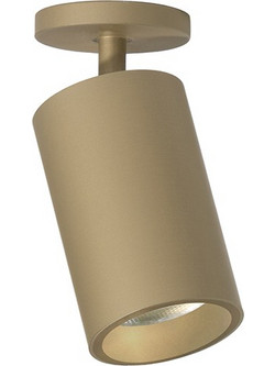 ILTI LUCE Nemo Flex Fixed Optic Gold Σποτ - Σποτάκια Οροφής LED - Κινούμενα (BFLE0401F21WAO)