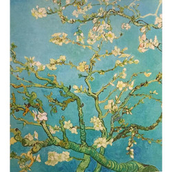 Αφίσα Aquarupella Vincent van Gogh FSC