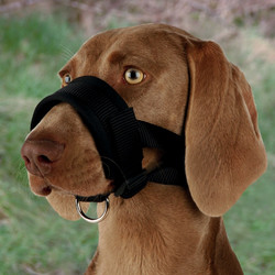 Trixie Φίμωτρο Muzzle Loop - 2Xlarge Ζώνη Λαιμού 22 35 cm / Περ. Εσωτ. Ρύγχους 28 38 cm