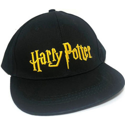 Harry Potter embroidery cap