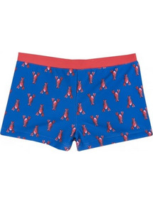 Chicco Βρεφικό Μαγιό Boxer για Αγόρι Royal Blue 07084