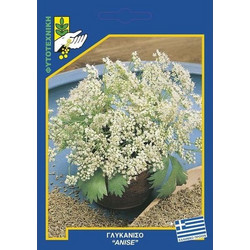 Σπόροι Γλυκάνισος Anise