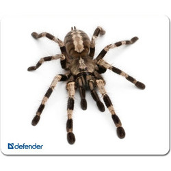 Defender Silk Spider Small