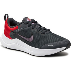 Παπούτσια Nike Downshifter 12 Nn DM4194 001 Anthracite/Lt Smoke Greys