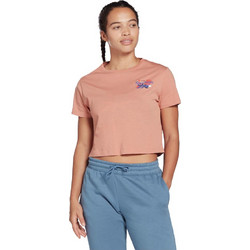 Reebok Graphic Tee Γυναικείο Αθλητικό Crop Top Μπεζ H51866
