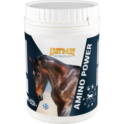 ΣΥΜΠΛΗΡΩΜΑ ΔΙΑΤΡΟΦΗΣ AMINO POWER 500gr