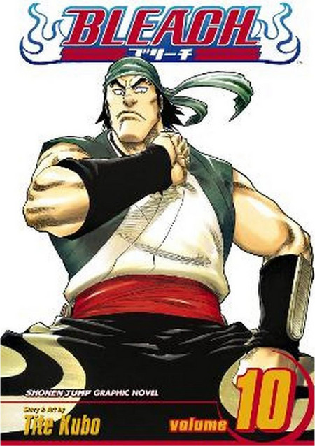Bleach, Vol. 10