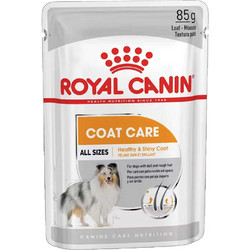 Royal Canin Adult Coat Care with Poultry Loaf 85gr