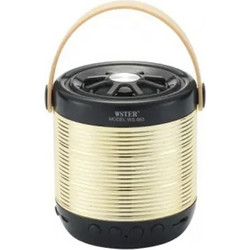Wster WS-883 Ηχείο Bluetooth 3W Χρυσό