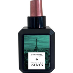 CHAMPOOGNE Parfum De Paris 100ml