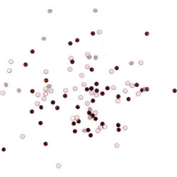 Strass Νυχιών Swarovski Crystals SS 5 No286 Mocca (50τμχ)