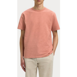 T-SHIRT SELECTED SLMSANDER SEERSUCKER SS O-NECK ROSE DAWN SELECTED