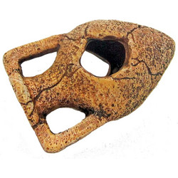 Amtra Αμφορέας με Τρύπα Medium 10x10x6cm