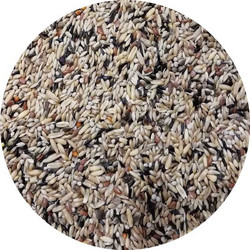 Professional Mix 6 Κελαϊδίνη Αναπαραγωγής Για Καναρίνια 20kg + 2kg Δώρο