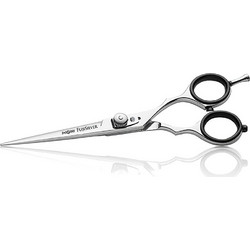 Ψαλίδι Κουρέματος Iwasaky Cutting Scissor Executive FujiSilver 6''