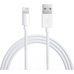 Apple USB-A to Lightning Cable 1m White