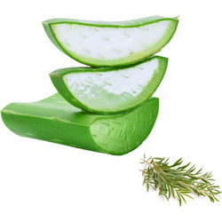 Gaia Products Aloe Vera After Sun Gel Προσώπου & Σώματος 100gr