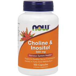 Now Foods Choline & Inositol 500mg 100 Κάψουλες