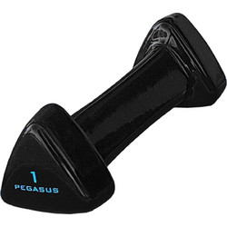 Pegasus PG-1005 Βαράκι Τρίγωνο Βινυλίου 4kg