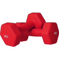 Sportnow Σετ Βαράκια Εξάγωνα Πλαστικοποιημένα 2x4kg