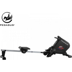 Pegasus R40