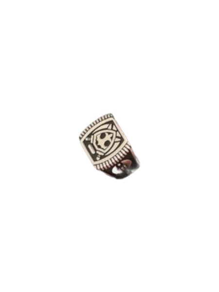 Sezgin Jewels Ανδρικό Δαχτυλίδι Σεβαλιέ από Ασήμι 925 MSR812