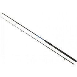 Golden Catch Passion Power Καλάμι Ψαρέματος για Casting Δίσπαστο 2.4m 40-125gr
