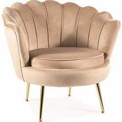 Diommi Πολυθρόνα Βελούδινη Nude Camellia DIOMMI-80-3245